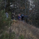 Illustration for article titled CRC 2015 Rally of the Tall Pines Photodump
